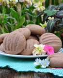 Galletitas de leche condensada y cacao🍪