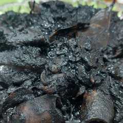 รูปของ Cumi Hitam