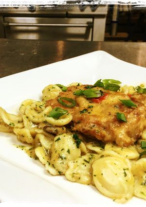 A picture of Braised Chicken,  Andouille Mushroom Cream Sauce served over Orecchiette Pasta.