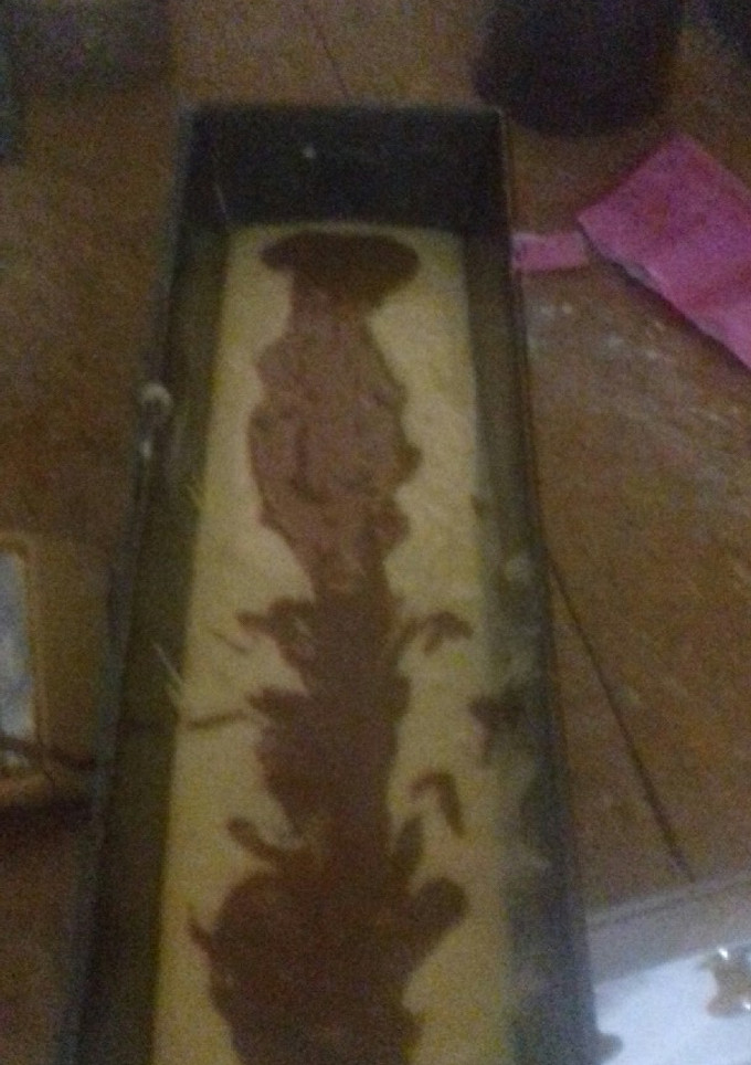 صورة لوصفة كيكة