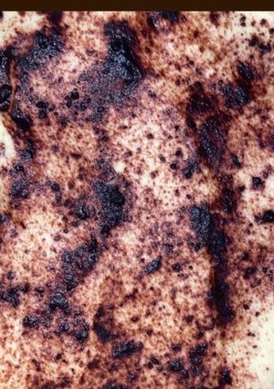 Une photo de Tiramisu