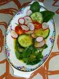 Radieschen - Blätter - Salat 🌿 mit Senfdressing
