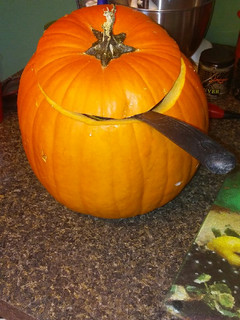 A picture of Veronica's Pumpkin Punch.
