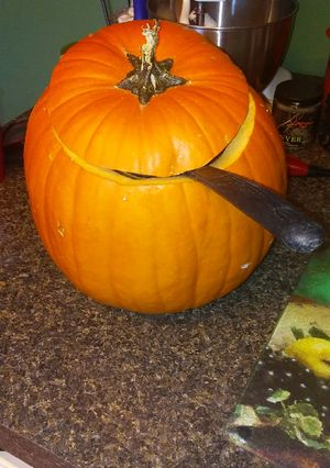 A picture of Veronica's Pumpkin Punch.