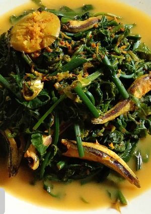 Foto resep Gulai Pakis (Gulai Paku)