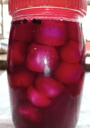 A picture of Baby onions in vinegar.
