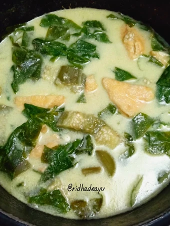 Langkah Gampang Membikin Resep Lodeh Daun Melinjo yang Bisa Manjain Lidah Anti Ribet, Mantap Sekali