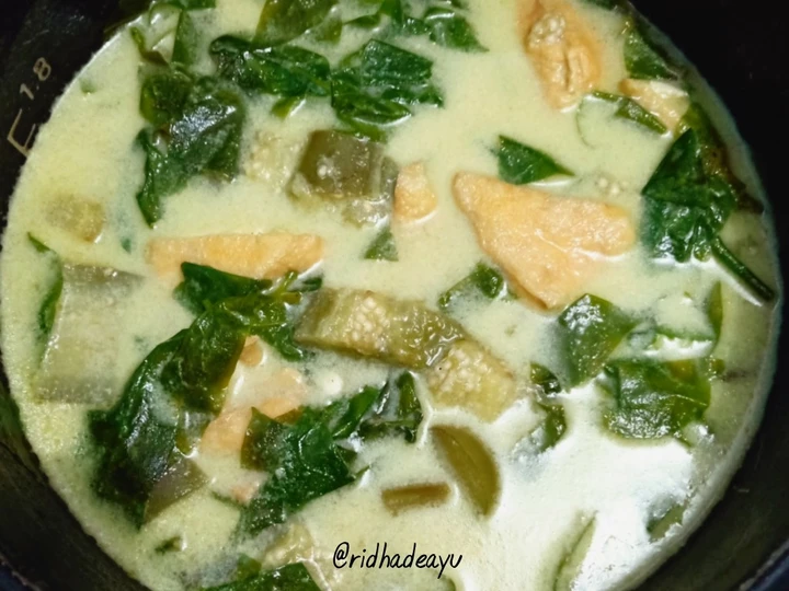 Langkah Gampang Membikin Resep Lodeh Daun Melinjo yang Bisa Manjain Lidah Anti Ribet, Mantap Sekali