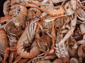 Una foto de Cigalas y calamares encebollados