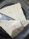 Veg Sandwich
