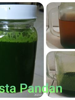 Foto resep Pasta Pandan /Endapan Pandan
