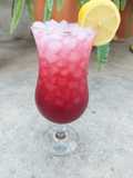Tequila Pomegranate Cóctel🍹