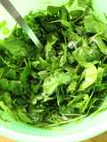 Ensalada chingolo, no mixta