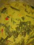Lodeh (labu,kacang,daun so)