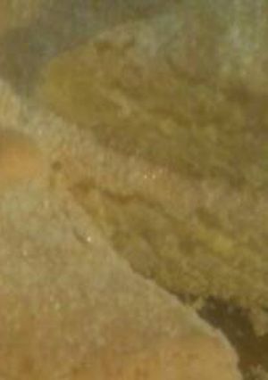 Una foto de Torta de limón fácil y esponjosa