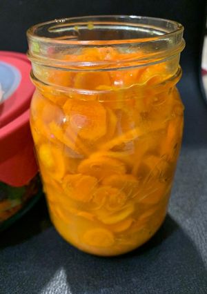 લીલી હળદરનું અથાણું (Lili Haldar Athanu Recipe In Gujarati) રેસીપી મુખ્ય ફોટો