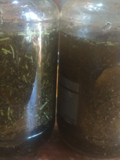 Una foto de Berenjenas en vinagreta de hierbas (algo diferente al escabeche)