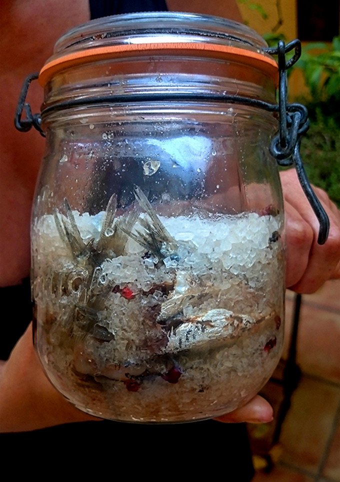 Una foto de Anchoas confitadas