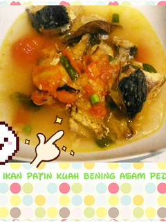 Foto resep Sup Ikan Patin Kuah Bening Asam Pedas, Segar!