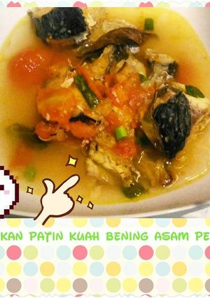 Foto resep Sup Ikan Patin Kuah Bening Asam Pedas, Segar!