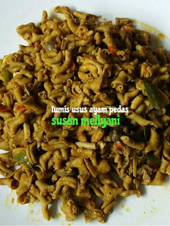 Foto resep Tumis usus ayam pedas