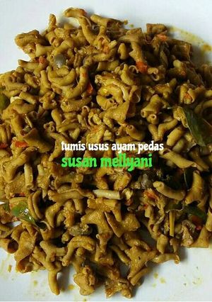 Foto resep Tumis usus ayam pedas
