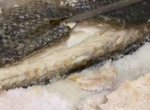 Foto de Robalo ao sal