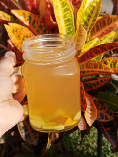 Foto resep Minuman pelancar haid
