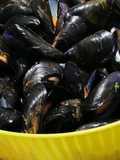 Impepata di cozze 🦪