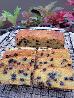 Foto resep Bolu Choco Chips