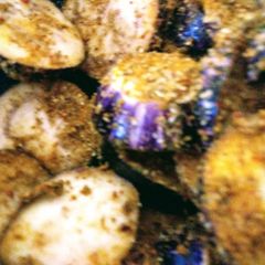 A picture of Ring brinjals fry/bake.