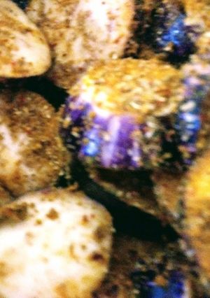 A picture of Ring brinjals fry/bake.