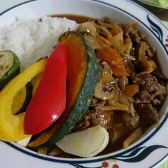 A picture of Hayashi Rice with tons of vegetables.