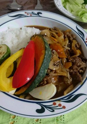 A picture of Hayashi Rice with tons of vegetables.
