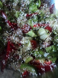 Una foto de Ensalada ranchera para asados mexicana el geras