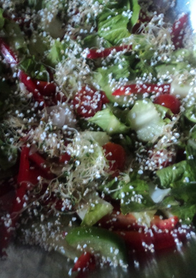 Una foto de Ensalada ranchera para asados mexicana el geras
