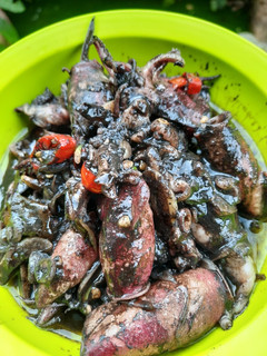 Foto resep Cumi Tinta Hitam