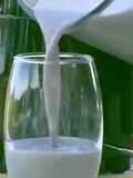 Batido de Mirtilos