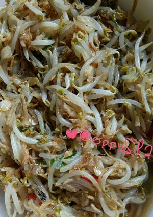 Foto resep Tumis Tauge Ikan Teri Simpel Enak