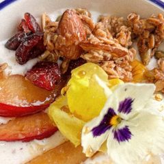 A picture of Morning with Plum yogurt 🥣.