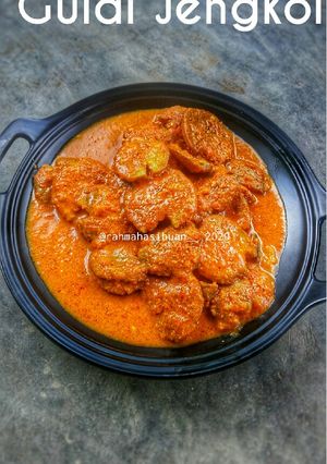 Foto resep Gulai Jengkol