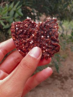 Foto resep Cookies chocobanana oatmeal simple