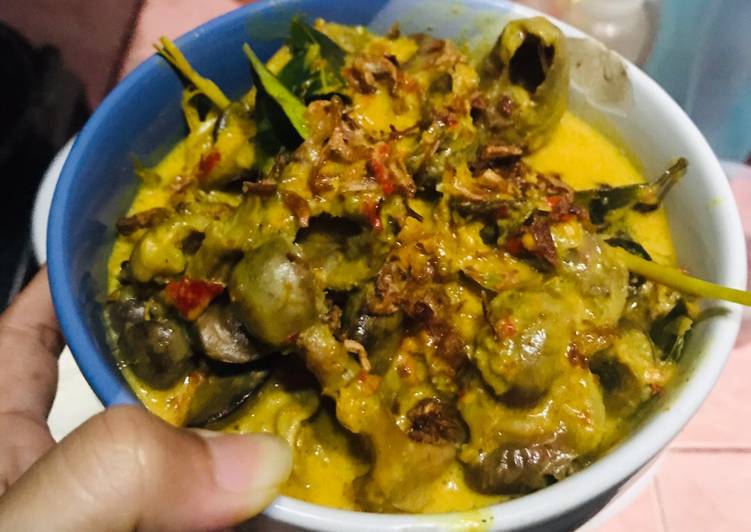 Cara mengolah Ati ampela kuah santan, Menggugah Selera