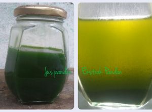 Foto resep Jus Pandan - Ekstrak Pandan