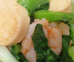 Fresh Membuat Tumis Pokcoy Tofu Enak Sederhana Fresh Membuat Tumis Pokcoy Tofu Enak Sederhana