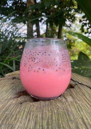 Foto resep Popice Selasih