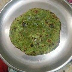 A picture of Palak Partha.