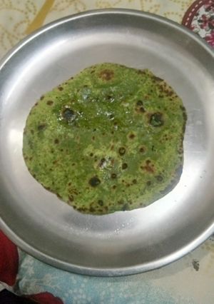 A picture of Palak Partha.
