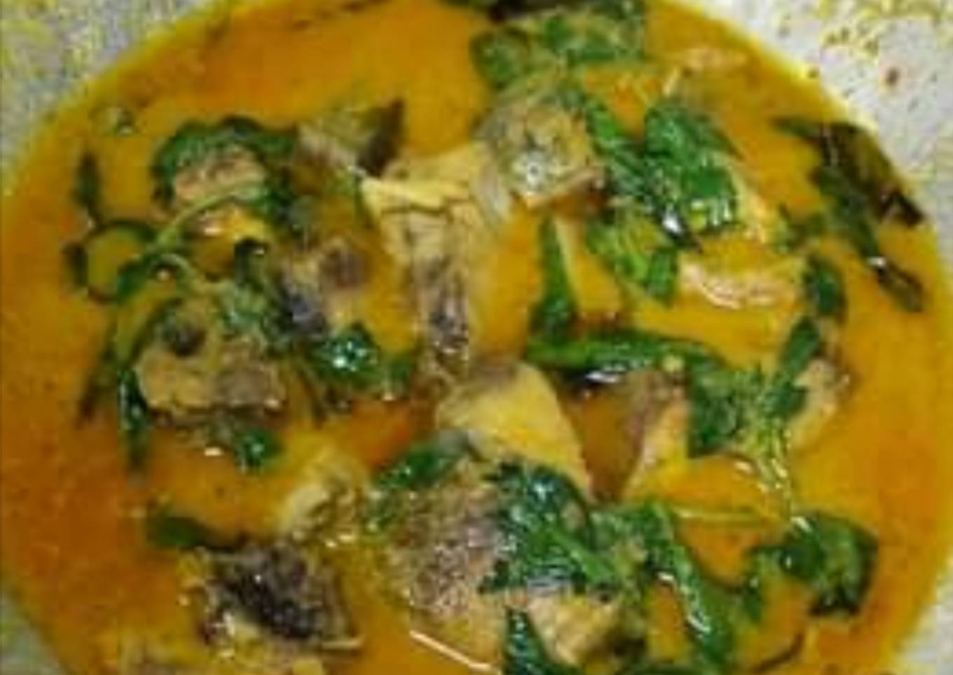 Rica rica tongkol