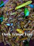 Orek Tempe Teri